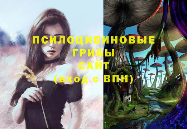 MDMA Premium VHQ Алзамай