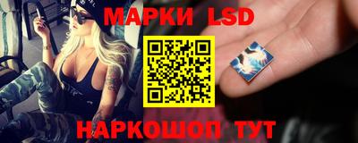 PSILOCYBIN Донской