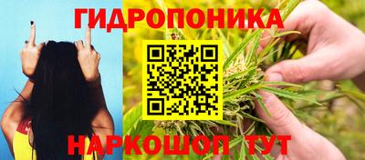 тгк Дубна