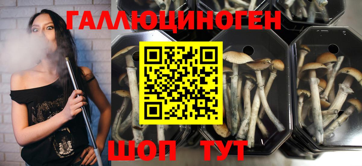 Галлюциногенные грибы мухоморы  Вход с VPN  Галлюциногенные грибы мухоморы  Заводоуковск 