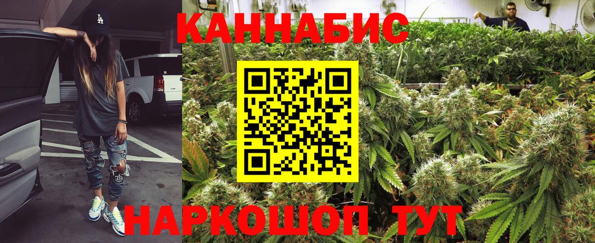 Канабис семена Заводоуковск